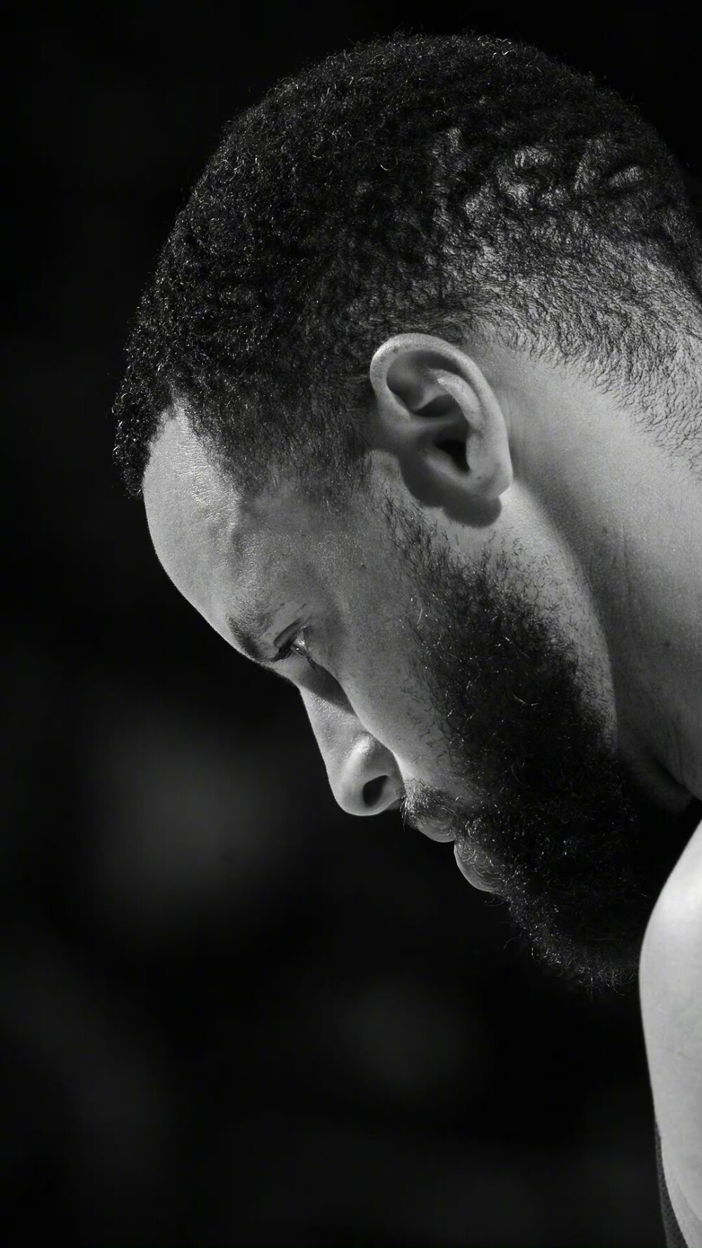 顿回归的日 顿回归的日