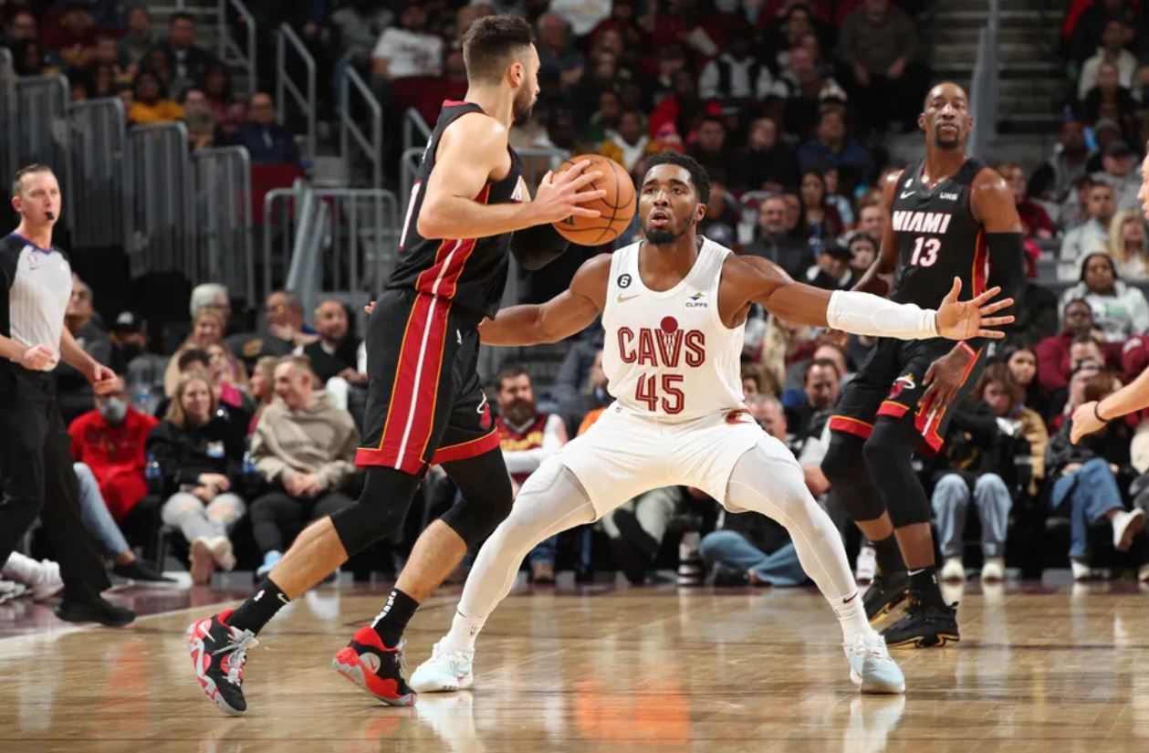 教练组的应 教练组的应